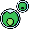 chlorella-vulgaris